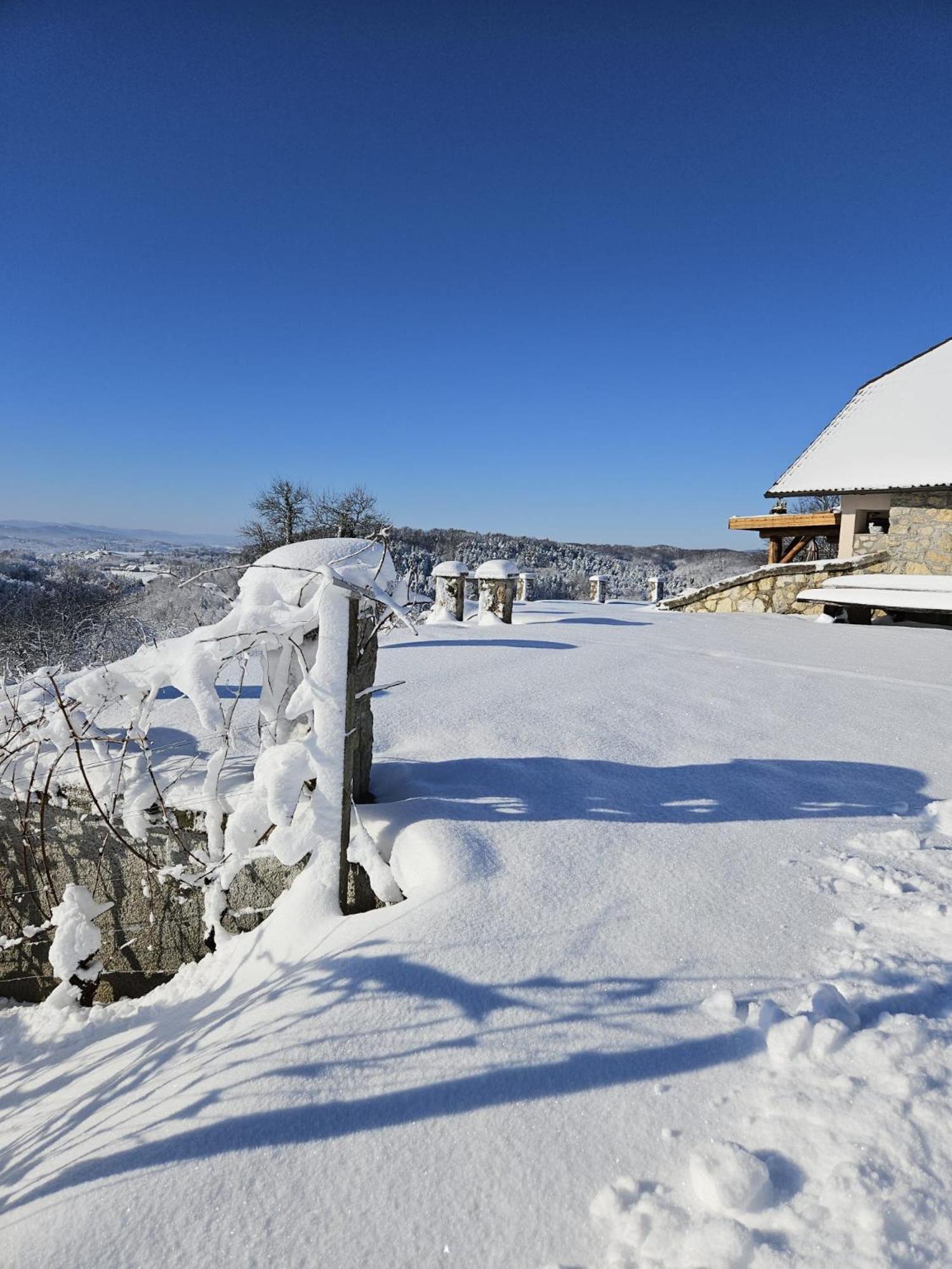 Zerko Holiday Home - Vineyard Chalet With Sauna And Jacuzzi Free Mirna Bagian luar foto