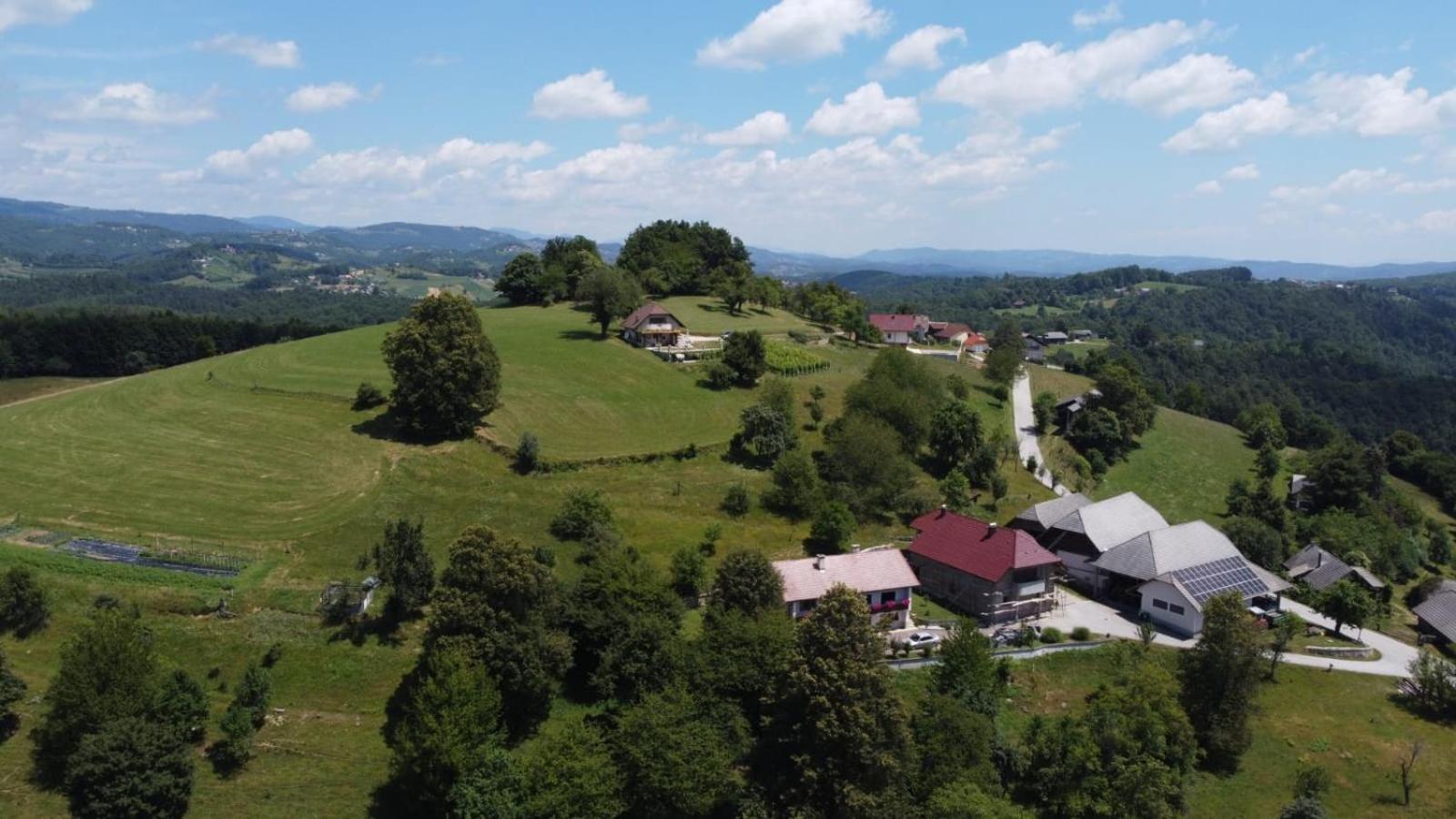 Zerko Holiday Home - Vineyard Chalet With Sauna And Jacuzzi Free Mirna Bagian luar foto