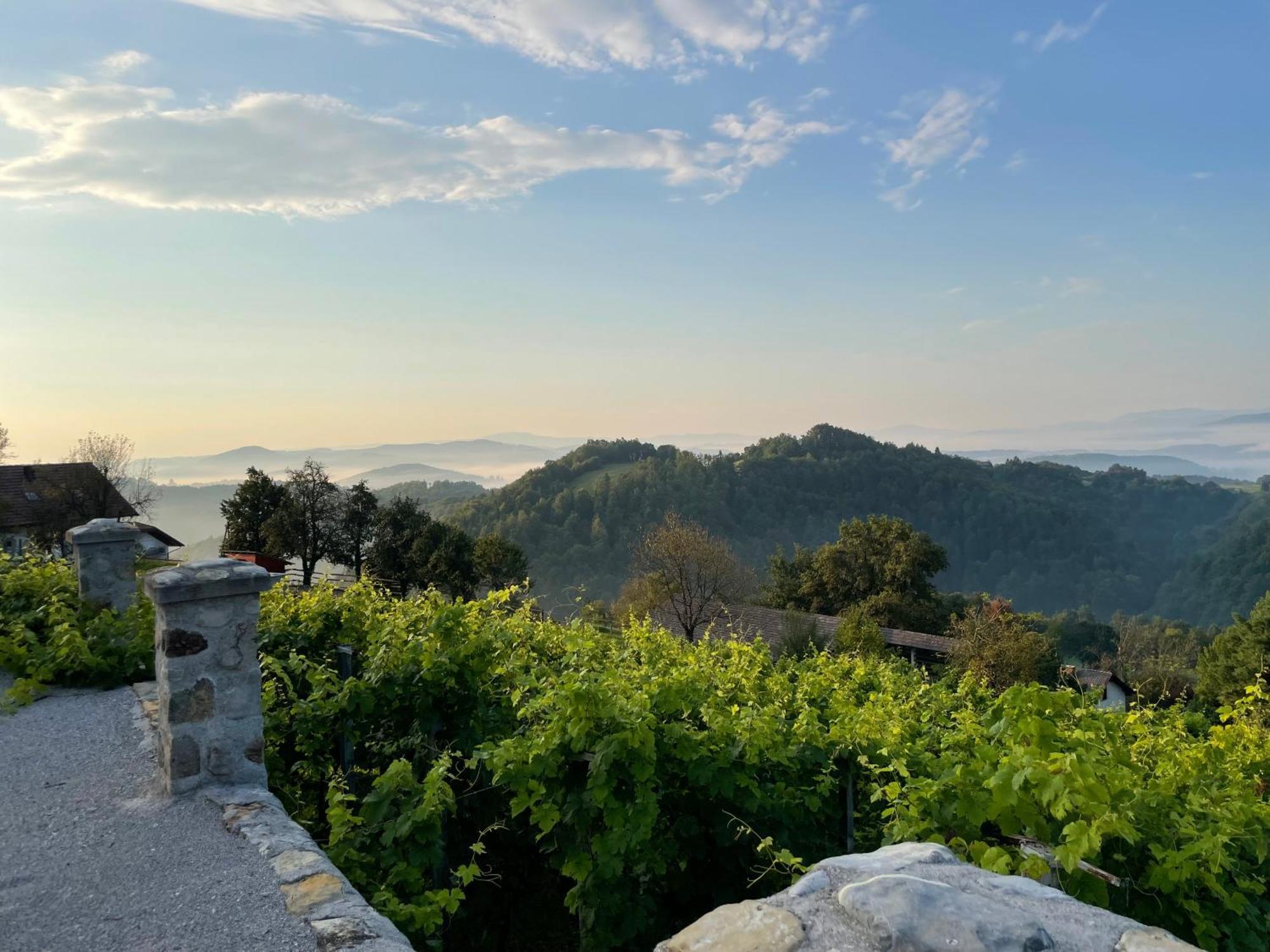 Zerko Holiday Home - Vineyard Chalet With Sauna And Jacuzzi Free Mirna Bagian luar foto